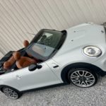 MINI COOPER CABRIOLET 1.6 L 136 CV 6 VITESSES GARANTIE DE 12 MOIS full